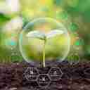 میچکا تجارت، فروش عمده و صادرات کود و سموم در مازندران