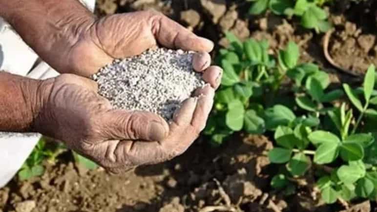 خرید بهترین کود شیمیایی برای کشت‌های گلخانه‌ای، میچکا تجارت مازندران