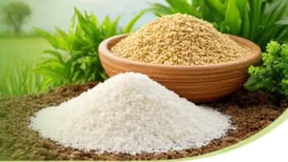 فروش عمده و صادرات کود سولفات آمونیوم